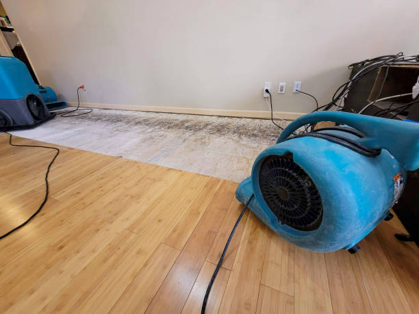 Professional Flood Damage Cleanup technician working in Columbus, NE